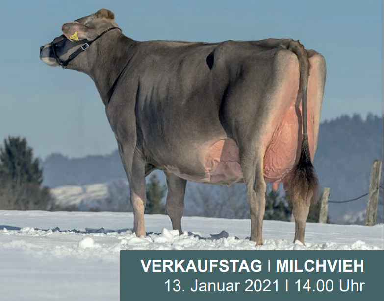 Katalog Verkaufstag Chommle Gunzwil 13.01.2021