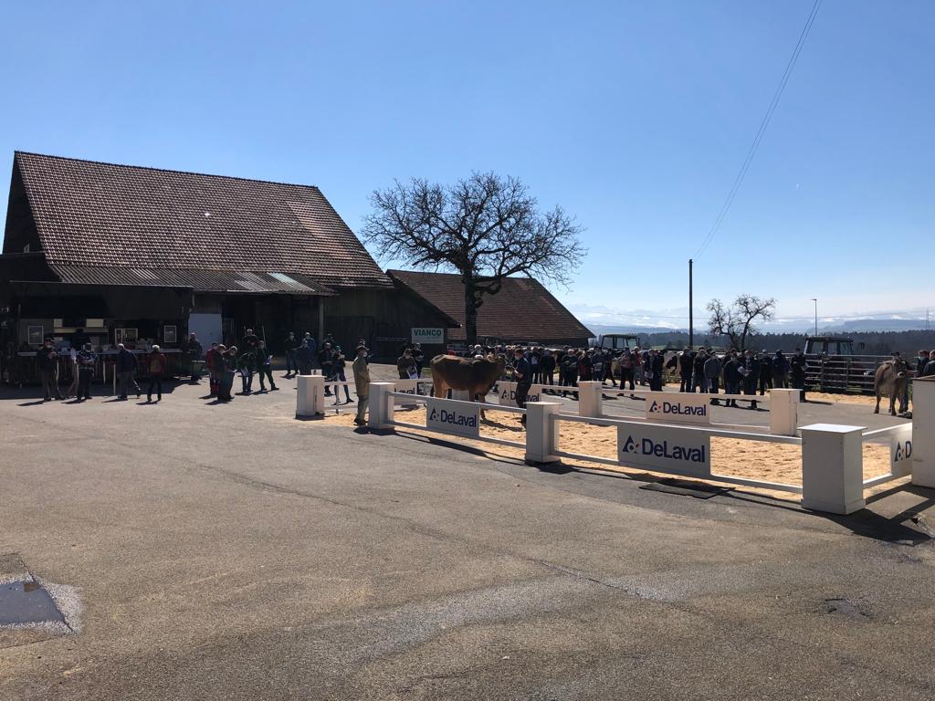 Anmeldung Mai Auktionen