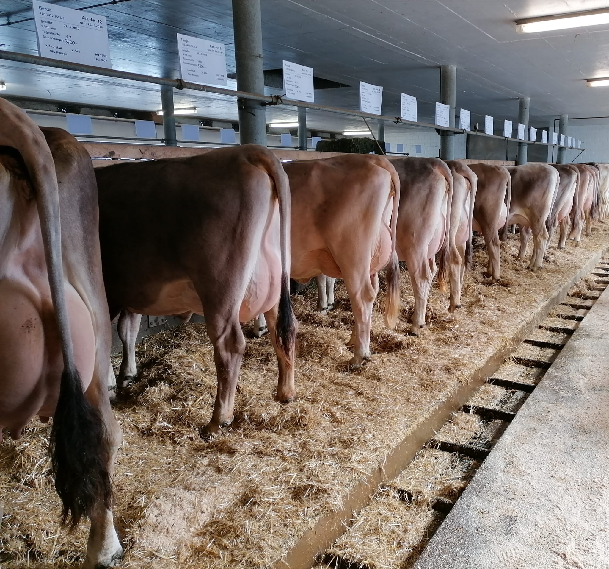 Toller Verkaufstag Chommle Gunzwil