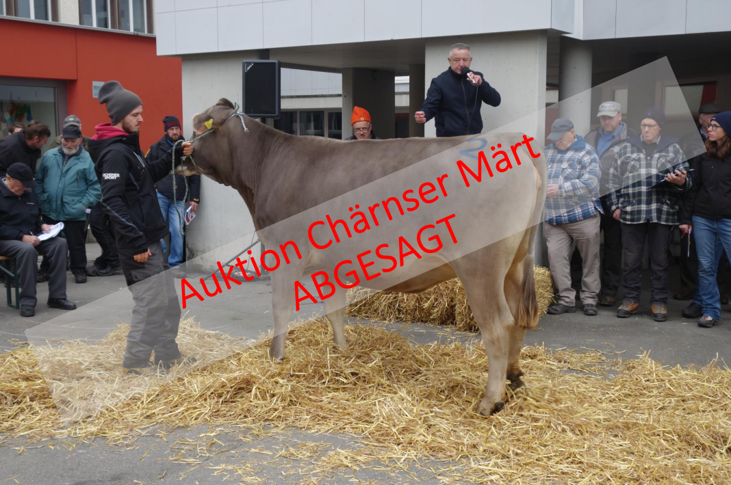Auktion Chärnser Märt ABGESAGT