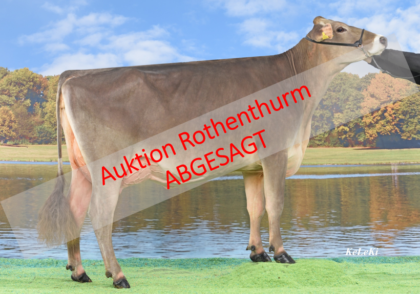 !Abgesagt! Zucht- und Nutzviehauktion Rothenthurm