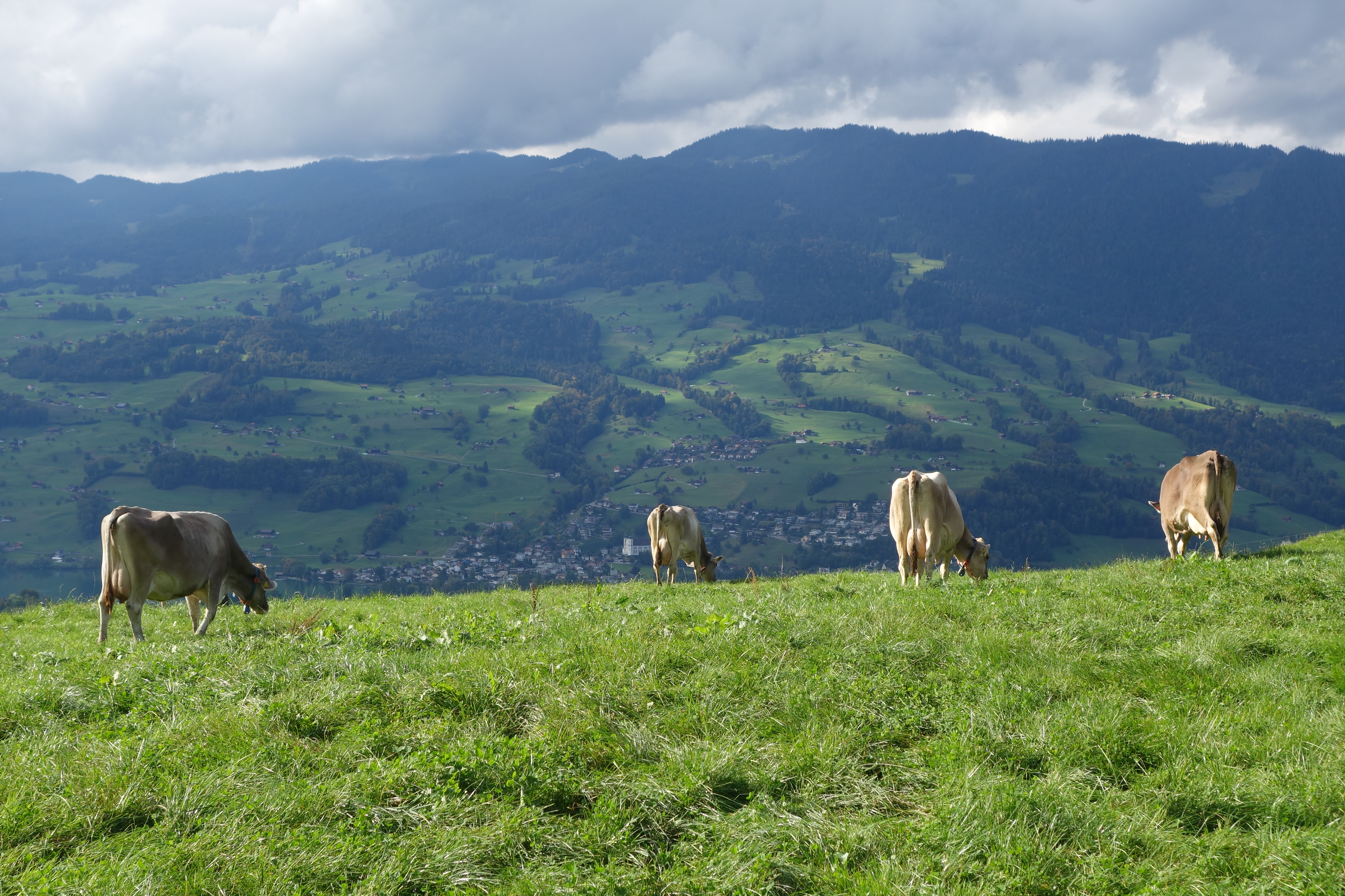 Betriebsbesuch in St. Niklausen