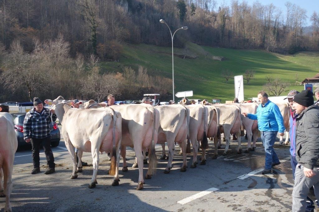 Vorschau Bruna Obwalden