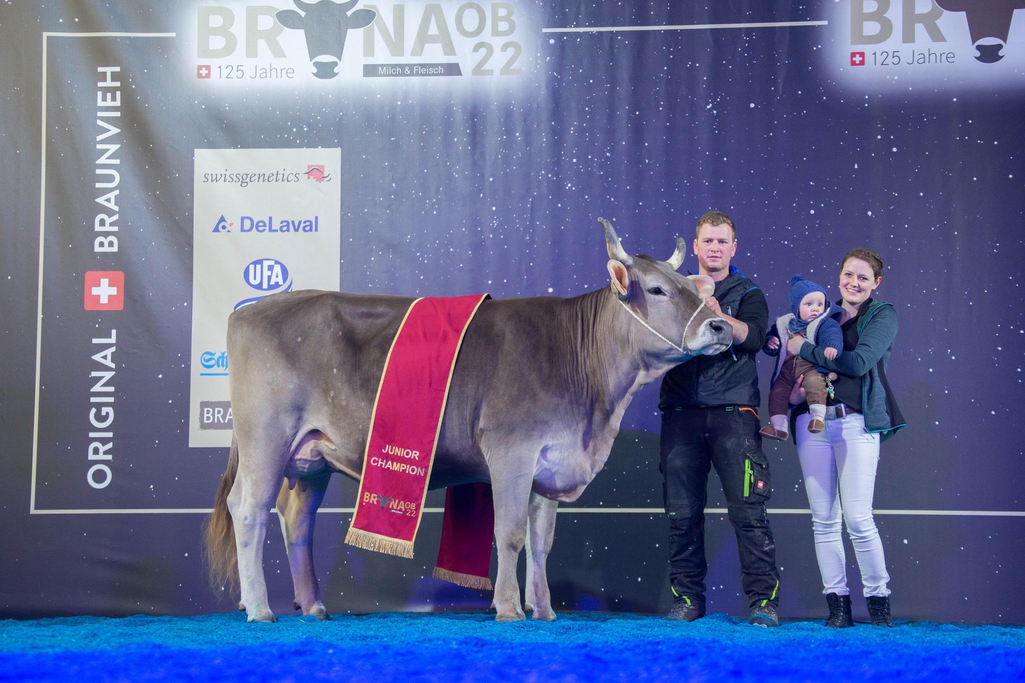 BRUNA Original Braunvieh