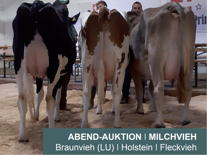 Katalog Auktion Chommle Gunzwil 21.10.2020