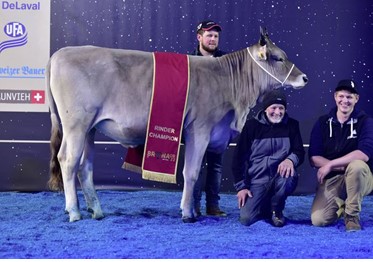 BRUNA 2022 Kanton Uri