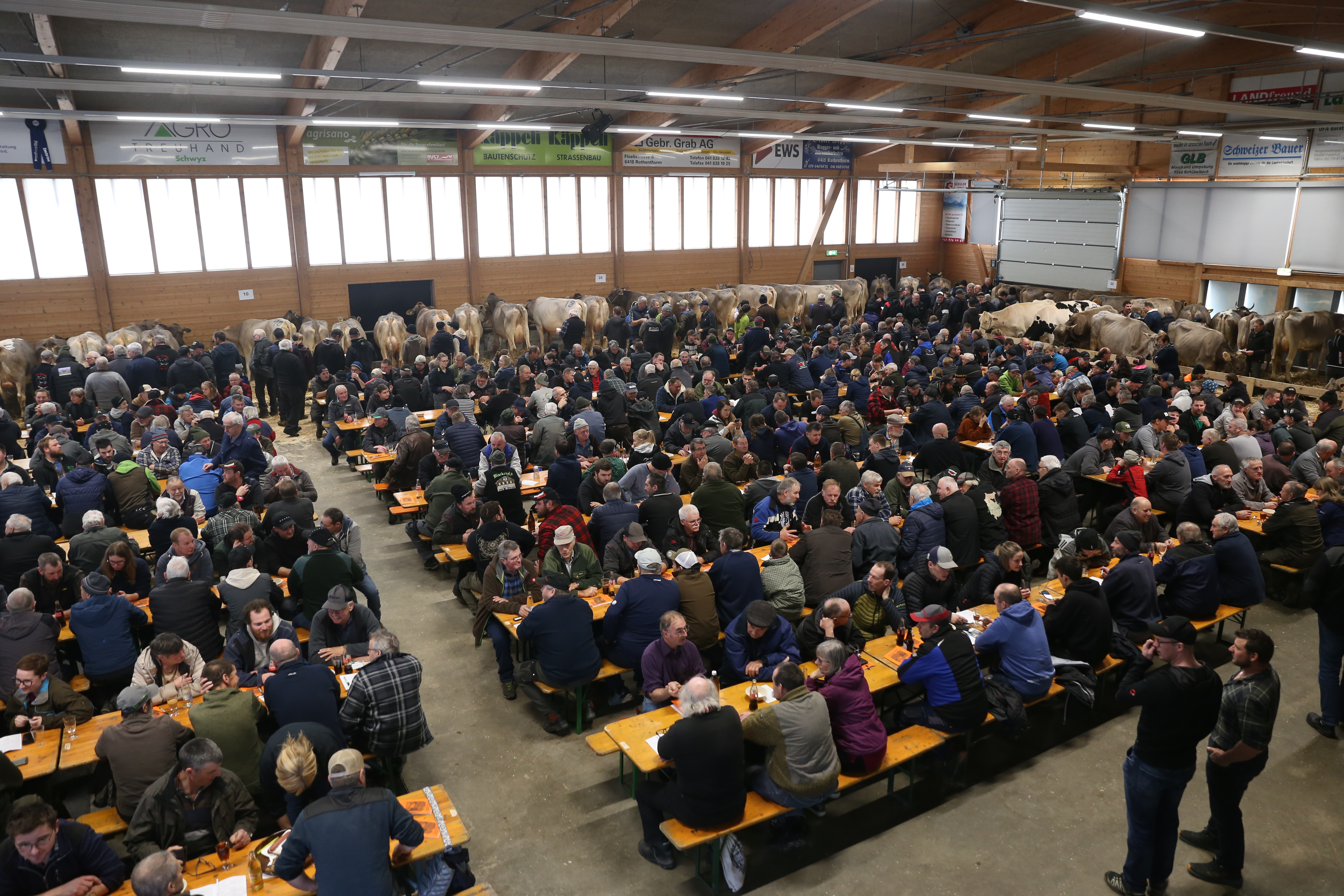 Nutz- und Zuchtviehauktion Rothenthurm 21.03.2026