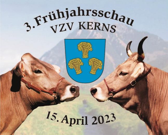 Katalog 3. Frühjahrsschau Kerns