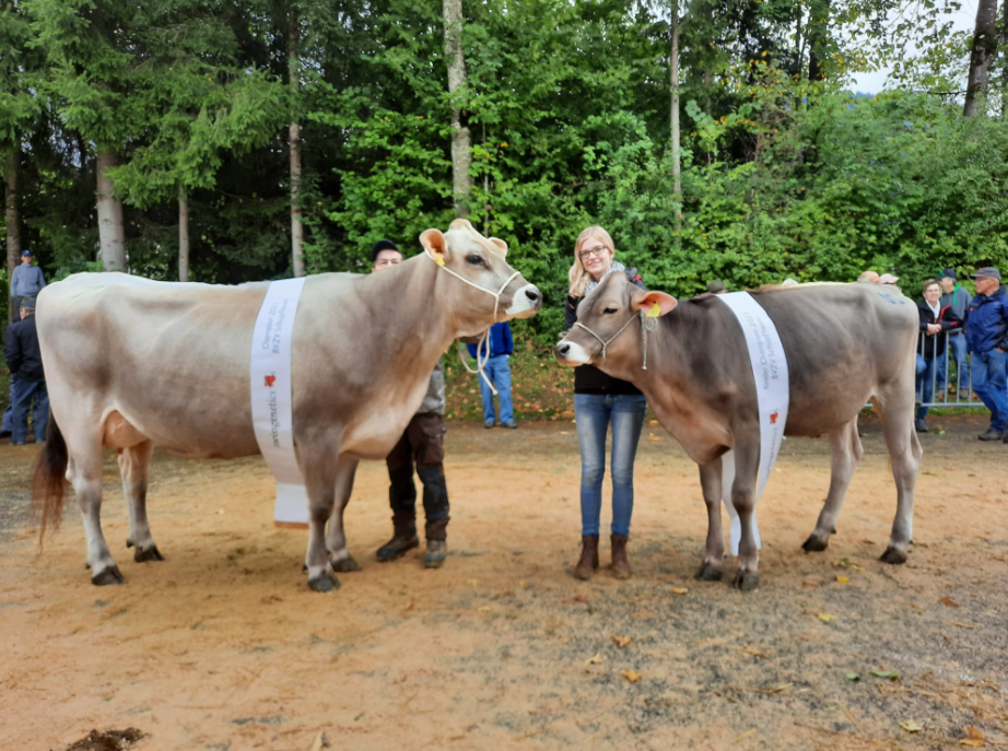 Viehschau BVZV Schüpfheim 06.10.2021