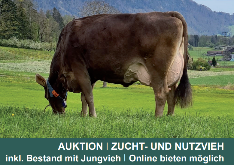 Katalog Auktion Chommle Gunzwil 03. Mai