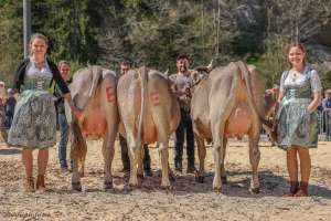 champion schoeneuter.l ob amt enlebuch podest