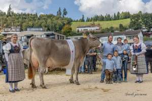 champion bs salomon santana ch.1358.5910.5 matthias arnold durrer