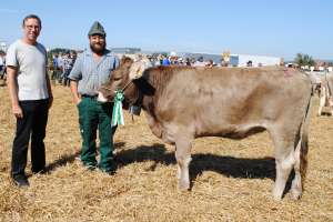 galgenen miss ob rind anakin mira benno foehn galgenen