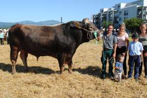 galgenen mister march alino gracer kevin zueger vorderthal