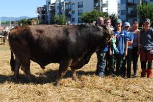 galgenen mister ob orlando obelix roland zueger galgenen