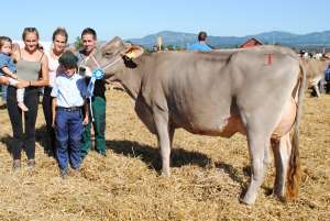 galgenen schoeneuter juengere phil safira kevin zueger vorderthal