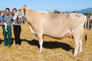 galgenen schoeneuter mittlere carly blondi kevin zueger vorderthal