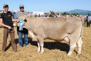 galgenen schoeneuter ob arcas nicole pirmin weber altendorf