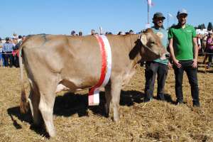 einsiedeln miss ob joel jacinta bernhard gisler einsiedeln