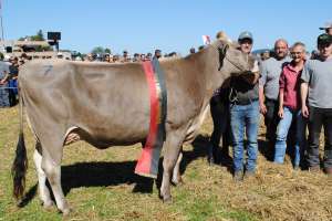 einsiedeln schoeneuter juengere kuehe pete madam peter kaelin willerzell   