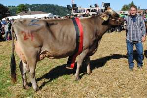 einsiedeln schoeneuter mittlere kuehe pete pamina roland kaelin euthal