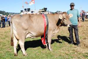 einsiedeln schoeneuter ob joel jancita bernhard gisler einsiedeln