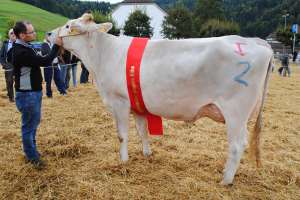 schoeneuter juengere phil paris roland kaelin euthal