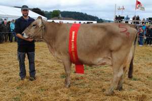 schoeneuter ob joel jacinta bernhard gisler einsiedeln