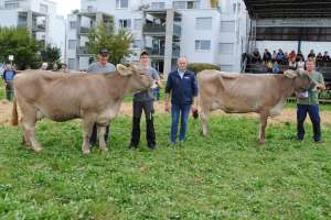 miss genetik ob galion lama bg st. johann altendorf bs palmer palma alfred schnellmann wangen