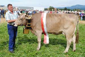 miss ob delwin hilty urs reichmuth altendorf