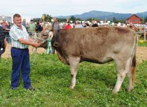 miss ob rind bimbo fabrina urs reichmuth altendorf