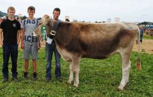 miss rind bs bonitto nura richard ziegler galgenen