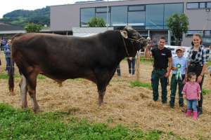 mister bs alino gracer kevin zueger vorderthal