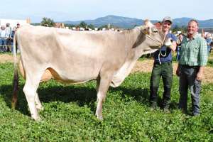 schoeneuter aeltere anibal hanna fredi diethelm tuggen