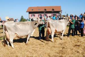 mutter tochter jolen jane und norwin nitza armin schatt feusisberg