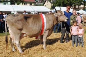 kuessnacht miss ob harlei humana theo   fabienne marty steinerberg