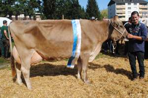 kuessnacht schoeneuter aeltere jasper justa armin suter kuessnacht