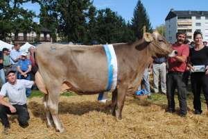kuessnacht schoeneuter mittlere alfred schmidig