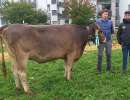 miss rind march biniam luna karl huber tuggen