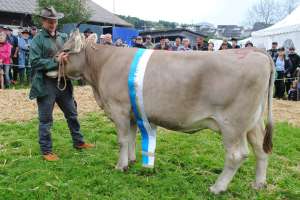 miss schoeneuter ob wito wilma karl annen arth