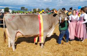 schoeneuter aeltere salomon samira armin schatt feusisberg