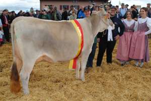 schoeneuter juengere haegar heya armin   roger schatt feusisberg