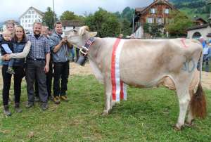 miss schwyz capucino capina bruno kaelin steinen