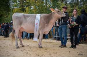 junior champion bs barca cleo et  felder franz   pascal marbach