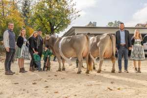 misswahl original braunvieh   eliteschau entlebuch 2025