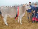 schoeneuter juengere dreamer caluna beat rohrer bennau