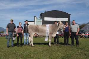 miss bs phill estell martin wallimann