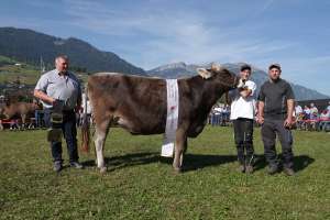 miss bs rind nello noelia paul reinhard st.niklausen