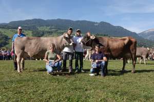 miss genetimk ob  elvis ewyn schrackmann thomas  bs pete candy michael wallimann