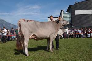 schoeneuter juengere bs  jade flueler patrick